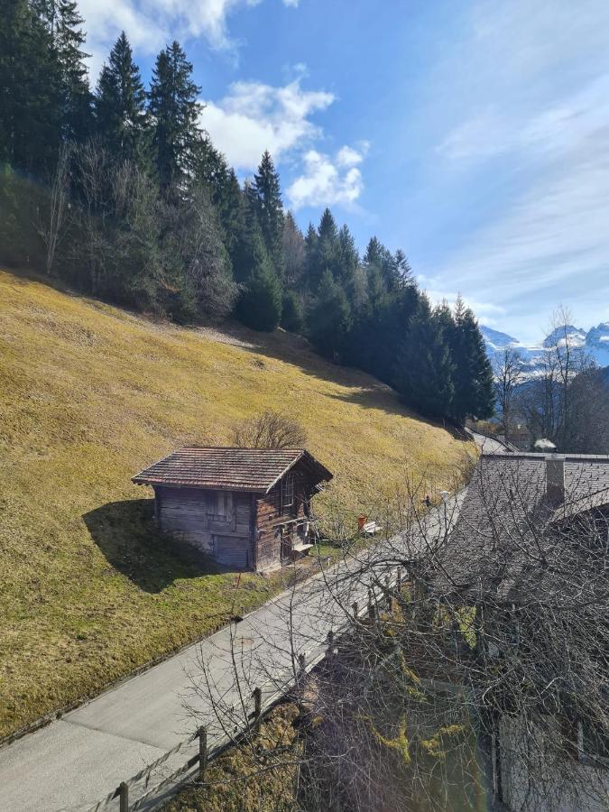 Traditional Chalet In Wengen - Top Floor Apartamento Exterior foto