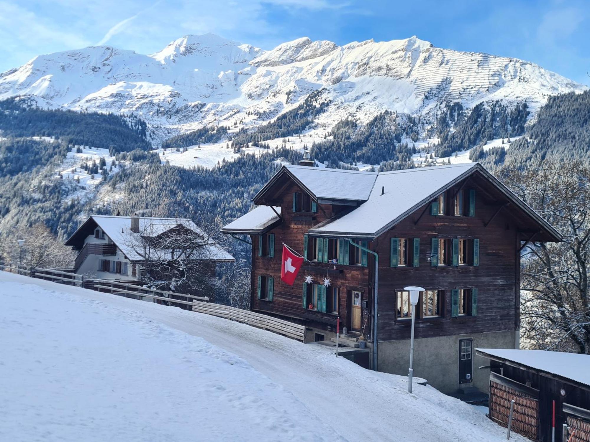 Traditional Chalet In Wengen - Top Floor Apartamento Exterior foto